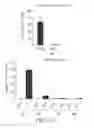 Fig. 23 - Antibodies that bind to TL1A and methods of treating inflammatory or autoimmune disease comprising administering such antibodies