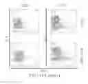 Fig. 29 - Antibodies that bind to TL1A and methods of treating inflammatory or autoimmune disease comprising administering such antibodies