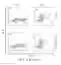 Fig. 31 - Antibodies that bind to TL1A and methods of treating inflammatory or autoimmune disease comprising administering such antibodies