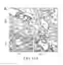Fig. 32 - Antibodies that bind to TL1A and methods of treating inflammatory or autoimmune disease comprising administering such antibodies