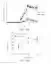 Fig. 38 - Antibodies that bind to TL1A and methods of treating inflammatory or autoimmune disease comprising administering such antibodies