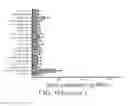 Fig. 45 - Antibodies that bind to TL1A and methods of treating inflammatory or autoimmune disease comprising administering such antibodies