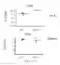 Fig. 49 - Antibodies that bind to TL1A and methods of treating inflammatory or autoimmune disease comprising administering such antibodies