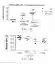 Fig. 56 - Antibodies that bind to TL1A and methods of treating inflammatory or autoimmune disease comprising administering such antibodies