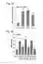 Fig. 04 - Methods for preserving the viability of retinal ganglion cells in patients with glaucoma by an anti-TNF receptor 2 (anti-TNFR2) antibody