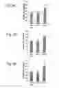 Fig. 10 - Methods for preserving the viability of retinal ganglion cells in patients with glaucoma by an anti-TNF receptor 2 (anti-TNFR2) antibody