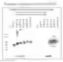Fig. 01 - Antibodies to a non-ligand binding region of at least two NOTCH receptors