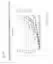 Fig. 19 - Antibodies to a non-ligand binding region of at least two NOTCH receptors