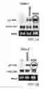 Fig. 02 - MONOCLONAL ANTIBODY CAPABLE OF BINDING TO ANEXELEKTO, AND USE THEREOF