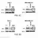 Fig. 07 - MONOCLONAL ANTIBODY CAPABLE OF BINDING TO ANEXELEKTO, AND USE THEREOF