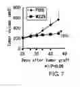 Fig. 13 - MONOCLONAL ANTIBODY CAPABLE OF BINDING TO ANEXELEKTO, AND USE THEREOF