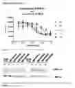Fig. 13 - Human antibodies against tissue factor and methods of use thereof