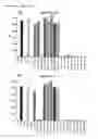 Fig. 41 - Human antibodies against tissue factor and methods of use thereof