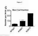 Fig. 05 - Regulating transplant rejection of donor and embryonic stem cell-derived tissues and organs