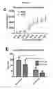 Fig. 10 - Regulating transplant rejection of donor and embryonic stem cell-derived tissues and organs