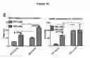 Fig. 18 - Regulating transplant rejection of donor and embryonic stem cell-derived tissues and organs