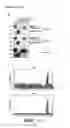 Fig. 03 - Antibodies against human RYK and uses therefor