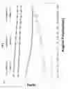 Fig. 12 - Ethylsulfonated hyaluronic acid biopolymers and methods of use thereof