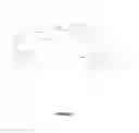Fig. 02 - HYDROPHILIZED BACTERICIDAL POLYMERS