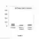 Fig. 06 - HYDROPHILIZED BACTERICIDAL POLYMERS