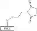 Fig. 16 - Modified Polyaryletherketone Polymer (Paek) and Process To Obtain It
