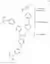 Fig. 12 - Synthesis of dynamic covalent 3D constructs