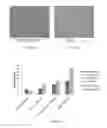 Fig. 06 - COMPOSITIONS AND METHODS FOR BIODEGRADING PLASTIC