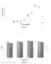 Fig. 09 - COMPOSITIONS AND METHODS FOR BIODEGRADING PLASTIC