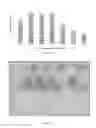Fig. 27 - COMPOSITIONS AND METHODS FOR BIODEGRADING PLASTIC