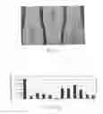 Fig. 06 - PHA compositions comprising PBS and PBSA and methods for their production