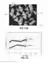 Fig. 09 - Shaped abrasive particles and methods of forming same