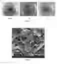 Fig. 02 - Method for preparation of biomimetic polymer for stabilizing wellbore and drilling fluid