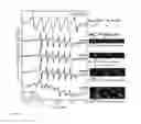 Fig. 12 - Quantum dots, rods, wires, sheets, and ribbons, and uses thereof