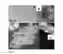 Fig. 17 - Quantum dots, rods, wires, sheets, and ribbons, and uses thereof