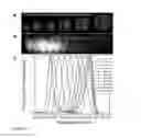 Fig. 18 - Quantum dots, rods, wires, sheets, and ribbons, and uses thereof