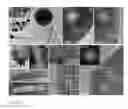 Fig. 20 - Quantum dots, rods, wires, sheets, and ribbons, and uses thereof