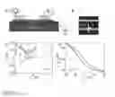 Fig. 22 - Quantum dots, rods, wires, sheets, and ribbons, and uses thereof