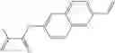 Fig. 256 - Liquid crystal medium