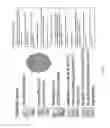 Fig. 04 - System for delivery of microbial inoculants and related materials and methods