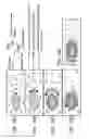 Fig. 15 - based delivery system and methods of use