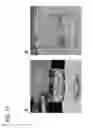 Fig. 22 - based delivery system and methods of use