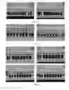 Fig. 09 - Methods of cell separation