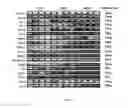 Fig. 08 - Isolation, expansion and characterization of precursor/stem cells from dental tissues