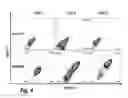 Fig. 05 - Use of jagged 1/frizzled 4 as a cell surface marker for isolating human cardiac ventricular progenitor cells
