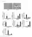 Fig. 05 - Culture medium and method for inducing differentiation of pluripotent stem cells to hepatoblasts