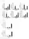 Fig. 07 - Culture medium and method for inducing differentiation of pluripotent stem cells to hepatoblasts