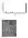 Fig. 08 - Culture medium and method for inducing differentiation of pluripotent stem cells to hepatoblasts