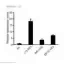 Fig. 09 - Culture medium and method for inducing differentiation of pluripotent stem cells to hepatoblasts