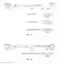 Fig. 76 - Recombinant vectors
