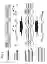 Fig. 18 - Adenoviral assembly method
